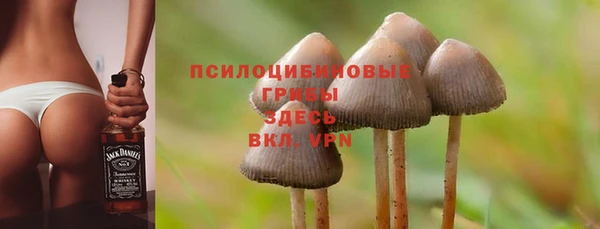 дурь Балахна