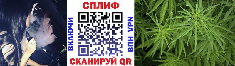 KRAKEN ссылка  Альметьевск  Шишки марихуана White Widow 